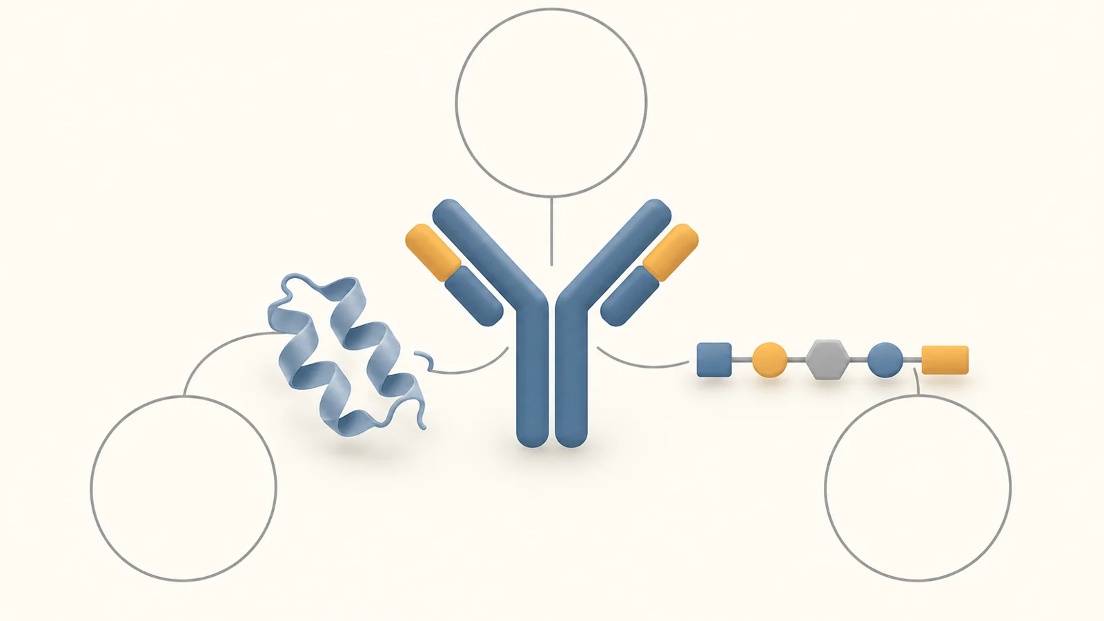 How computers could help fine-tune antibodies for treatment