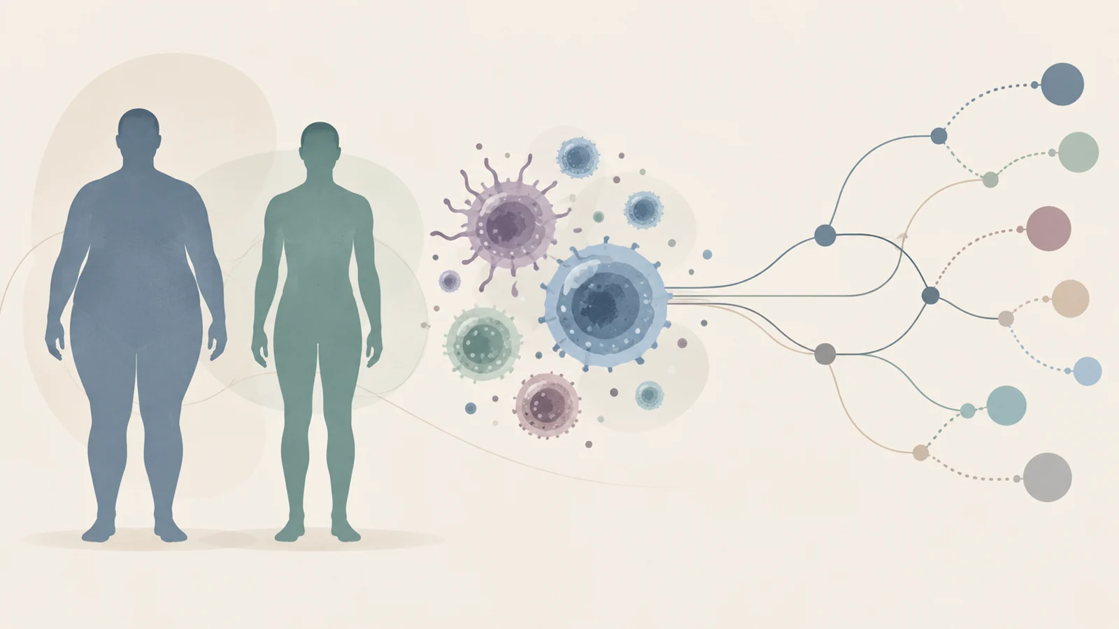 Two human silhouettes of subtly different body sizes beside abstract immune cells and a branching treatment path ending in neutral markers.