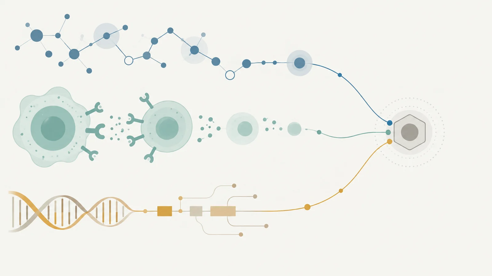 How researchers are exploring different routes to tailored cancer treatment