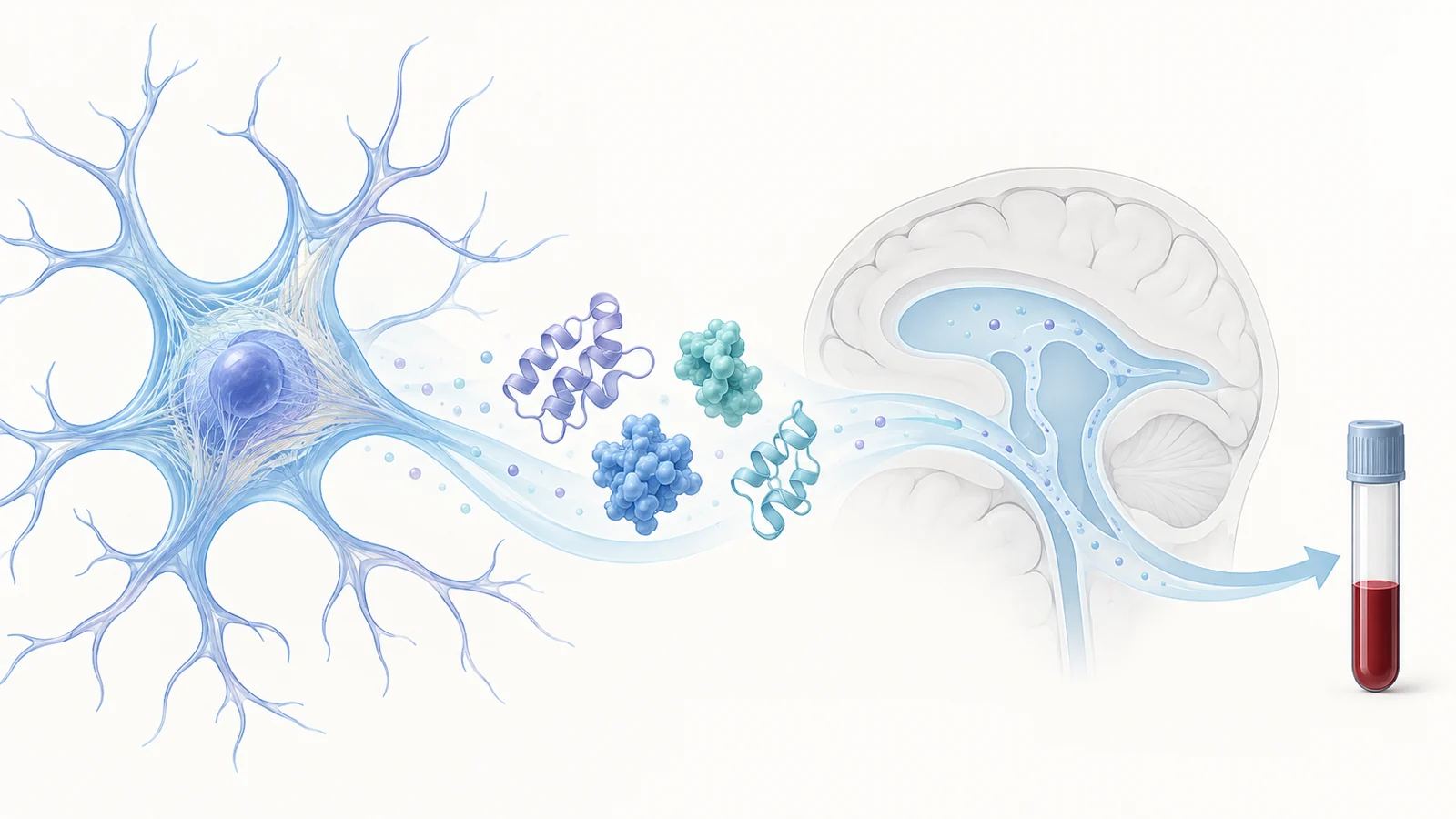 What can a GFAP blood result reveal about brain changes?
