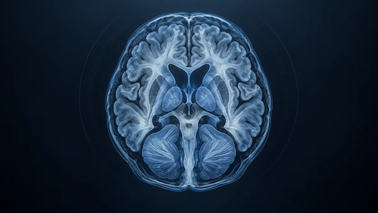 Conceptual brain scan in blue-gray tones with softly differentiated internal structures against a dark background.